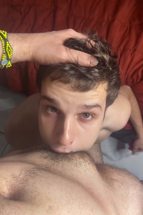 twink hd xxx billede