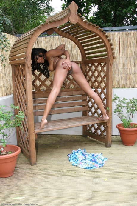 ébène sexy adulte xxx collection
