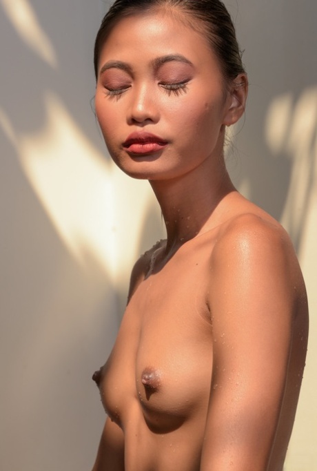 jolie asiatique nus de haute qualité des photos
