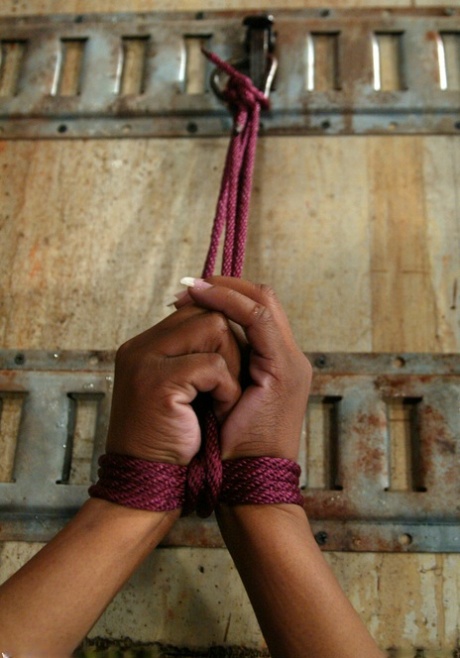 bdsm nero bellissimo pornografico immagine