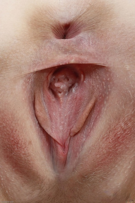 teen pussy close up porno archive