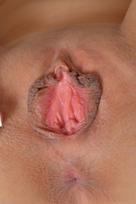 latina pussy free sex photo
