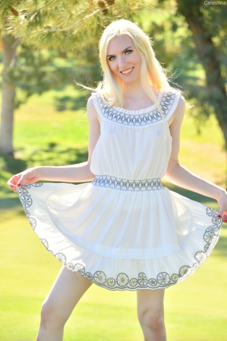 see through dress sexy nude pics