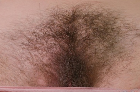 kudłata gospodyni domowa najlepiej pornograficzne galerie