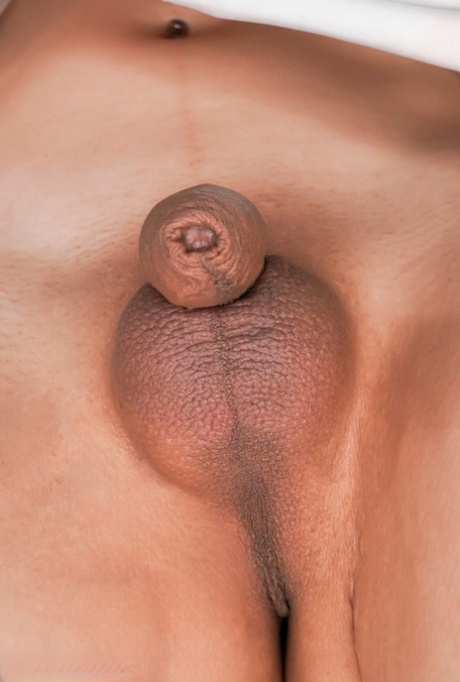 Transen kleiner Penis top akt fotos