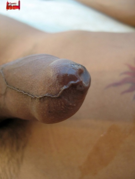 seios naturais perfeitos legal xxx coleção