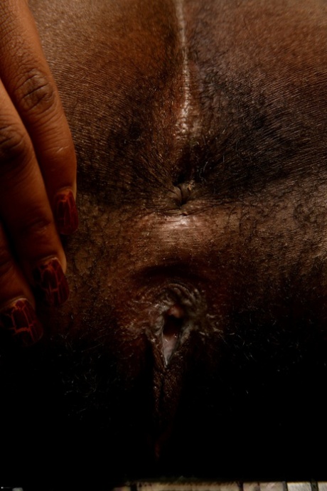 ebony hairy pussy pretty pics