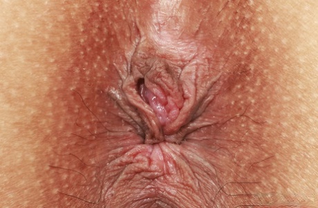 närbild anal sex gratis bilder