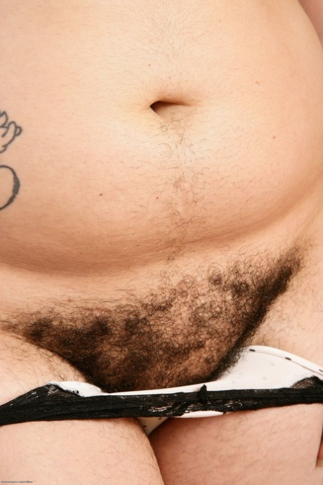 綿のパンティー セクシーヌード 写真