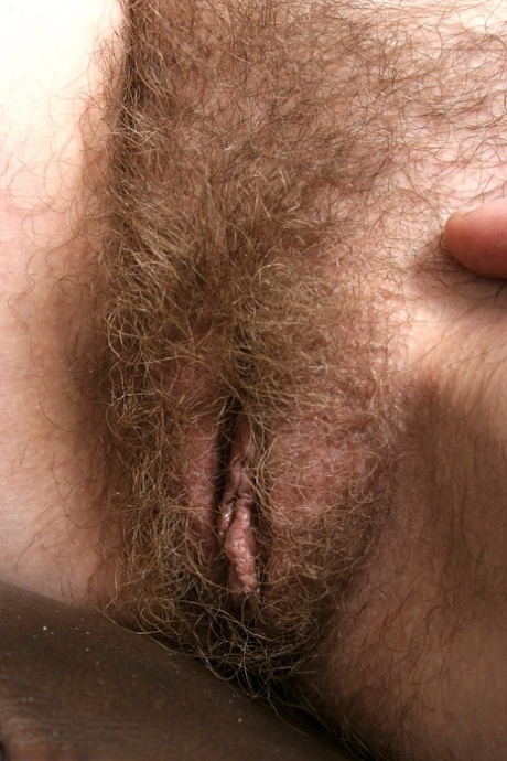 hairy vagina free sex pics