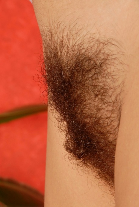piedi da cornuto sexyxxx collezione