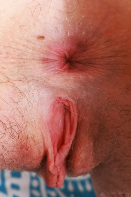 asshole close up sexy photos