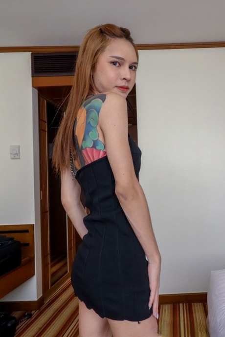 pequeña travesti exclusivo de alta calidad recopilación