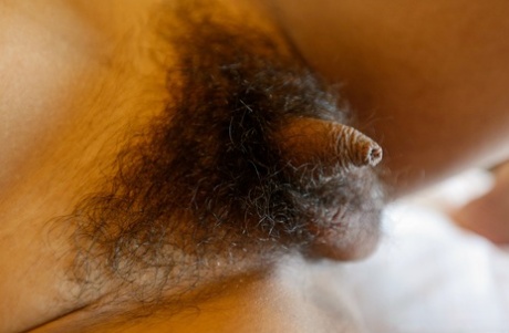 petite bite ladyboy chaud exclusif des photos