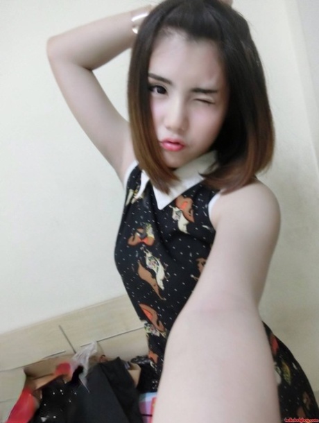 drobný transsexuál umění nejlepší galerie