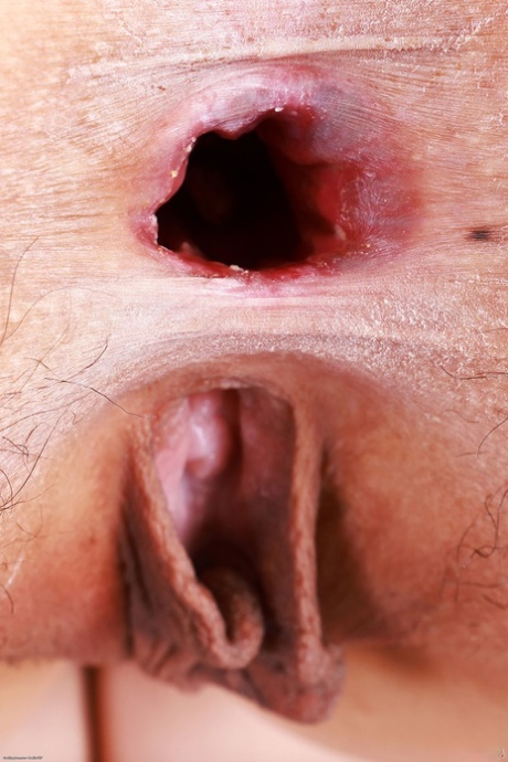 coño asiático abierto desnudo exclusivo imágenes