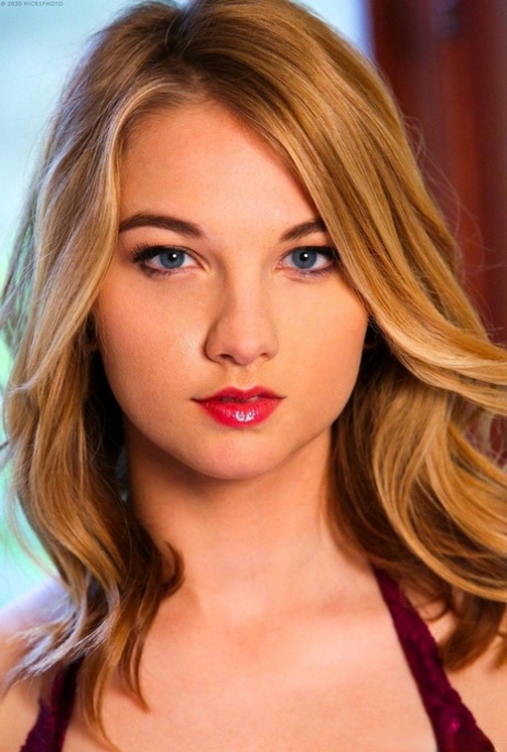 rossetto adulto libero Immagine