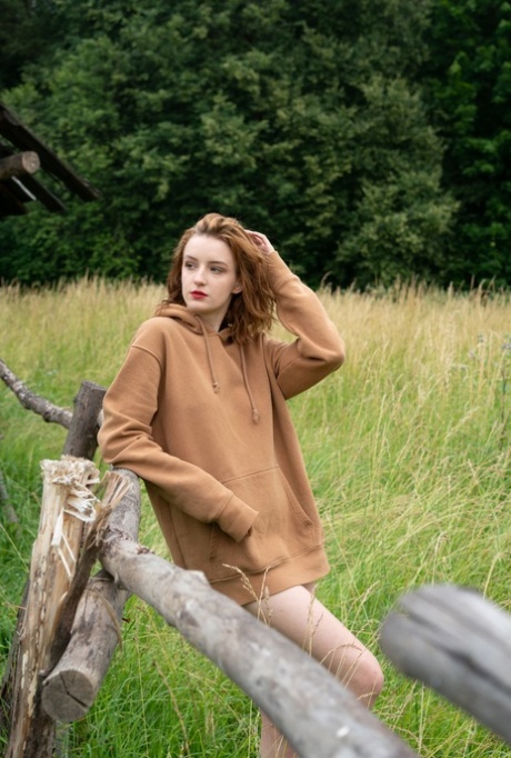 forêt adulte xxx collection