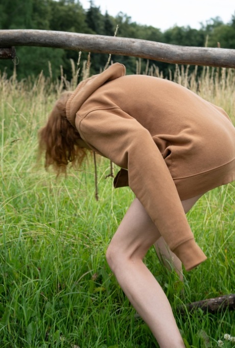 skog hd pornografi foton