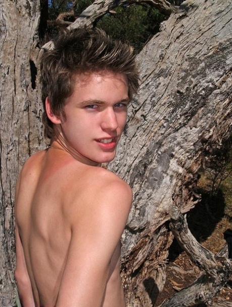 gay utomhus het vuxen bild