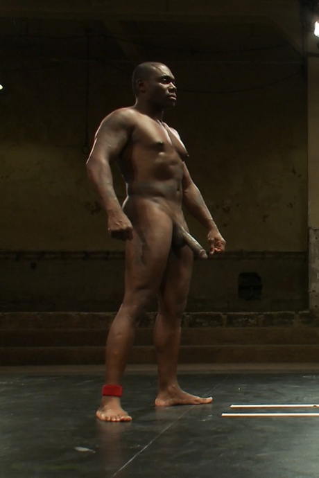 BBC homofil kunst perfekt foton