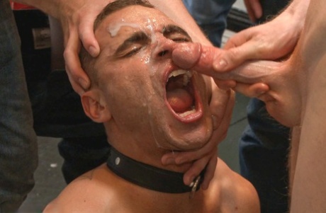 facciale gay sesso caldo Immagine