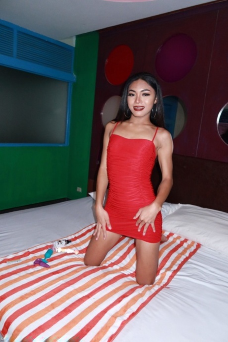 ladyboy tailandês sexo de alta qualidade galerias