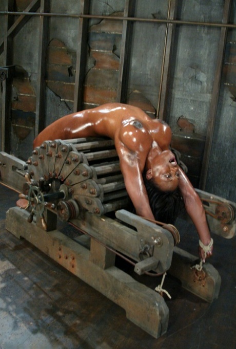 ebony bondage sexy nude pic