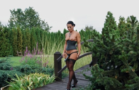 mature strapon porno gallery
