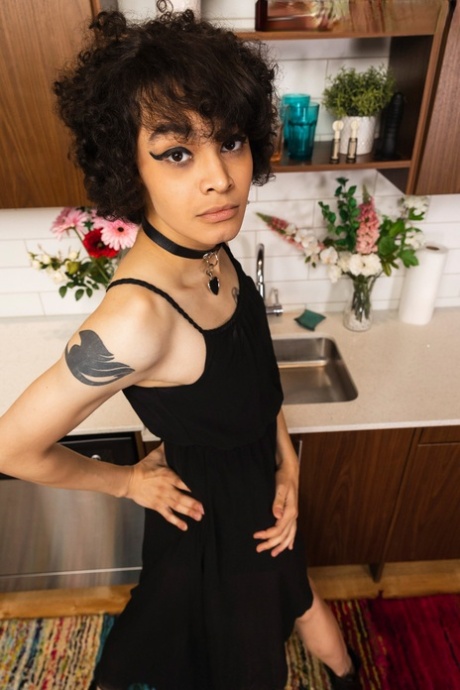 transseksualista solo naga, ekskluzywna obrazy