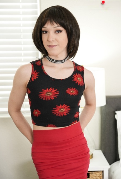 transsexuálové z první strany špičkový dospělý sbírka