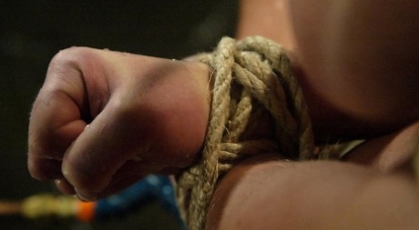 ブルネットのBDSM パーフェクト 写真