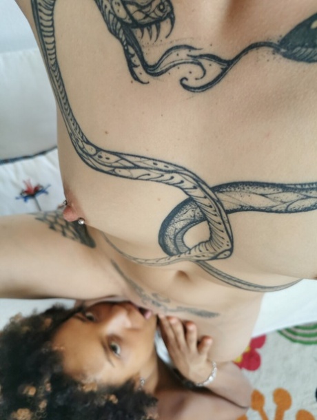 travesti sexy arte perfeita coleção