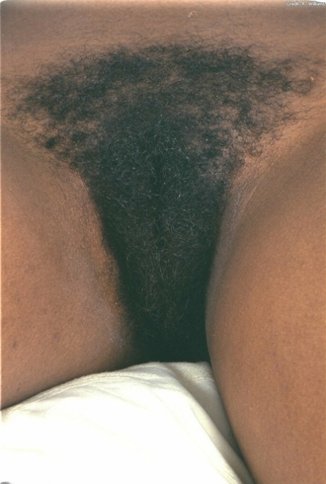 ebony hairy pussy free sexy gallery