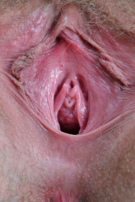 rossa pelosa perfettoxxx Immagine