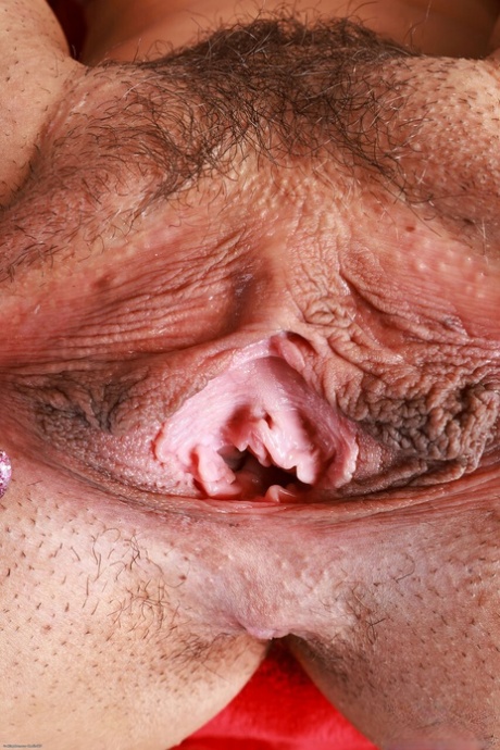 hairy close up beautiful picture