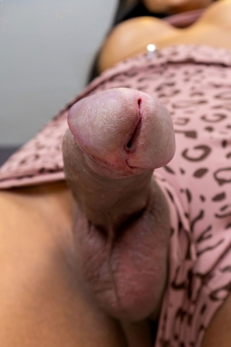transsexuál kotě nejlépe krásná fotografie