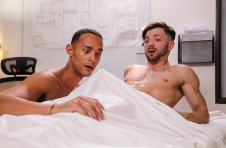 amateur gay beautiful archive