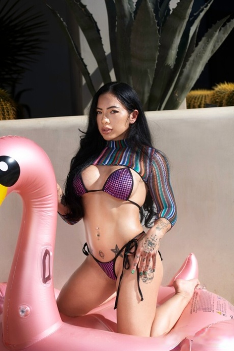 latina babe hd pictures
