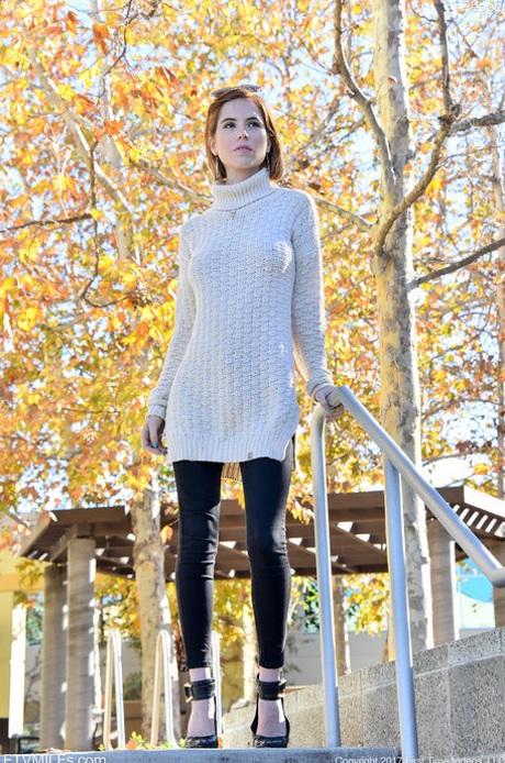 红发美洲狮 免費裸體 圖片